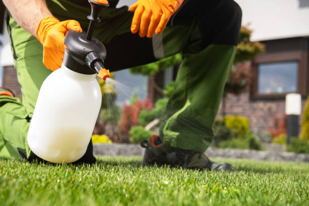 Best Exterminator Services  in Talahi Island, GA