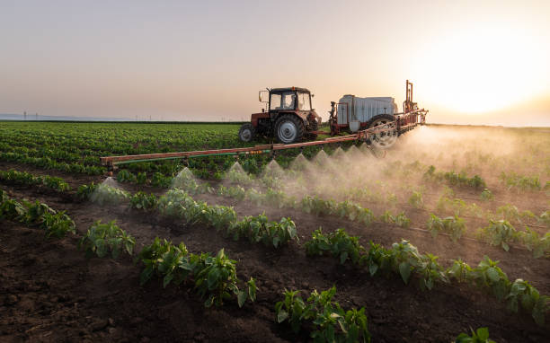 Best Mosquito Control Services  in Talahi Island, GA