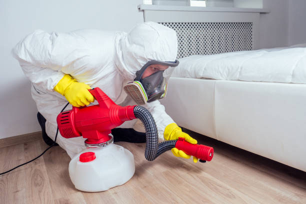 Reliable Talahi Island, GA Pest Control Solutions