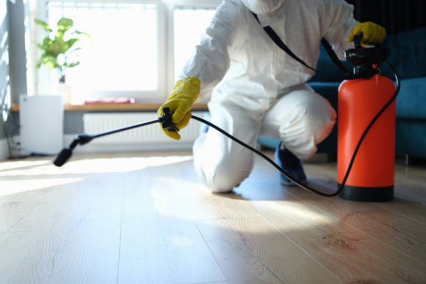 Best Flea Control Services  in Talahi Island, GA