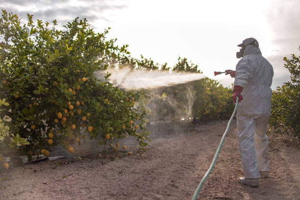 Best Flea Control Services  in Talahi Island, GA