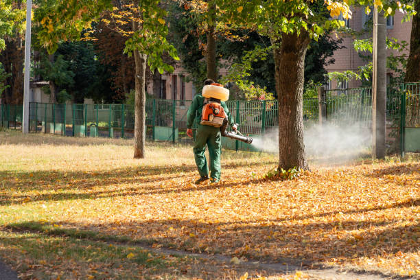Best Affordable Pest Control Services  in Talahi Island, GA
