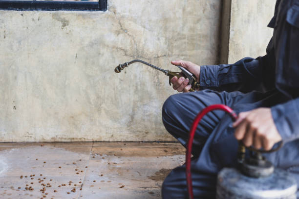 Best Residential Pest Control  in Talahi Island, GA